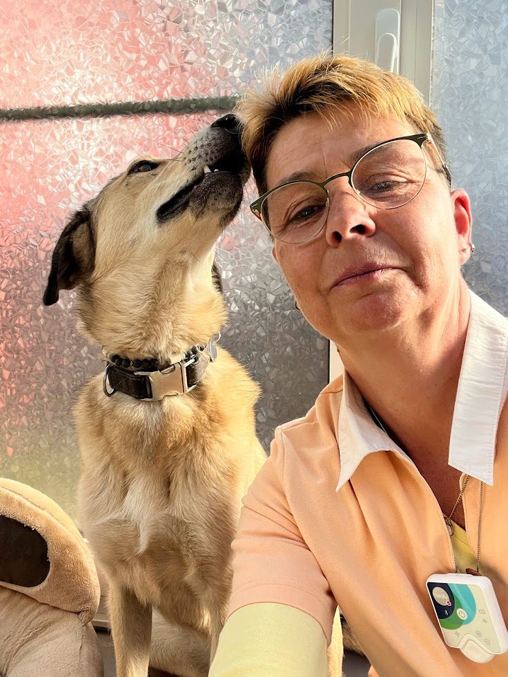 Silvester mit Hund: Warum August ein ziemlich guter Zeitpunkt ist, anzufangen