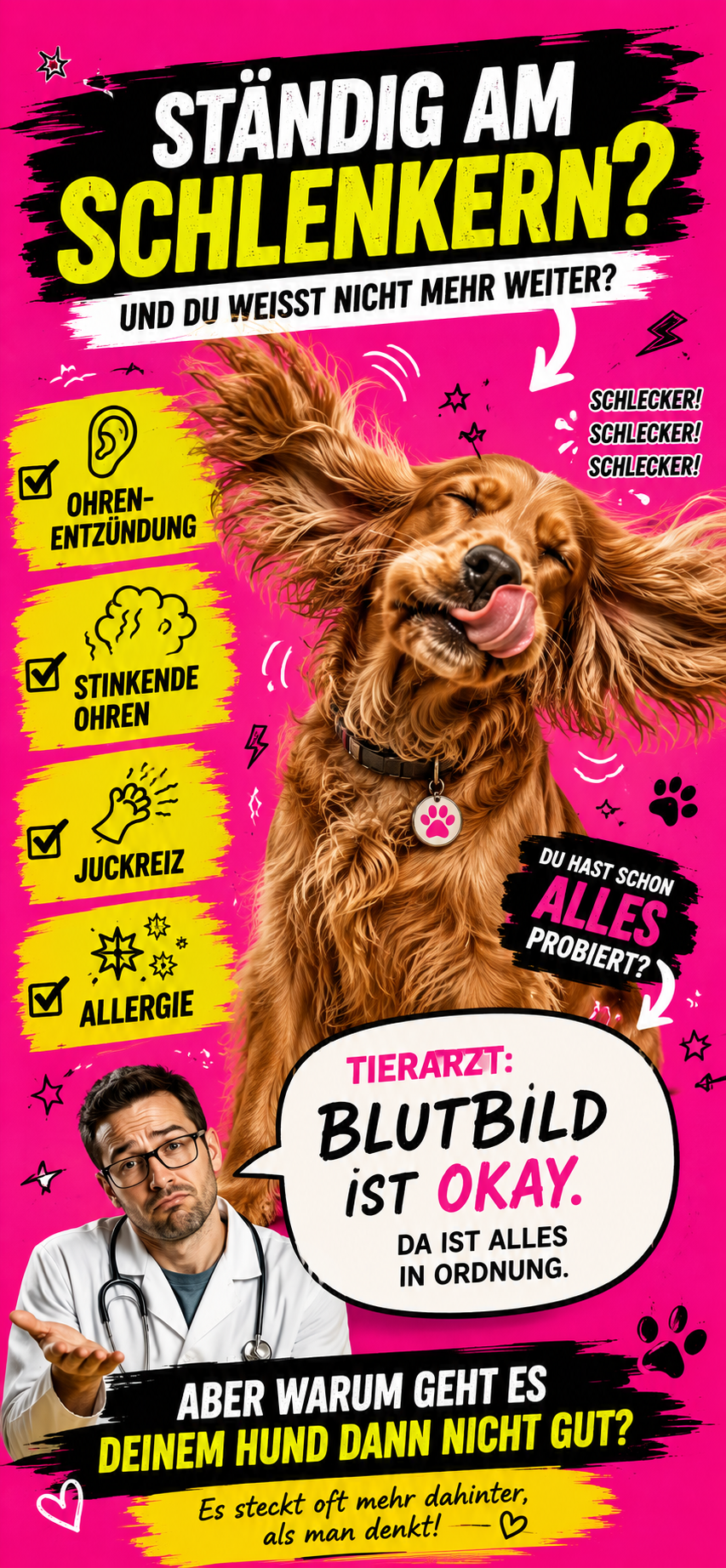 Ständig am Schlenkern? Ohrenentzündung, Juckreiz, Allergie.