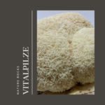 Vitalpilze